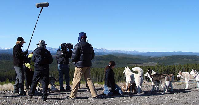 Siberian Husky Canine Animal Actors, Animal Planet, Animal Heros, Oct 2008