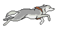 Arcticsun Siberian Husky Breeder Kennel Canada